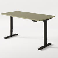 SCHREIBTISCH Elektrisch Höhenverstellbarer HomePro 160x80cm Schwarz/Grün mit Memory-Funktion, Anti-Kollisions Technologie - Schwarz/Grün, Holzwerkstoff (80/160/62cm) - Desktronic