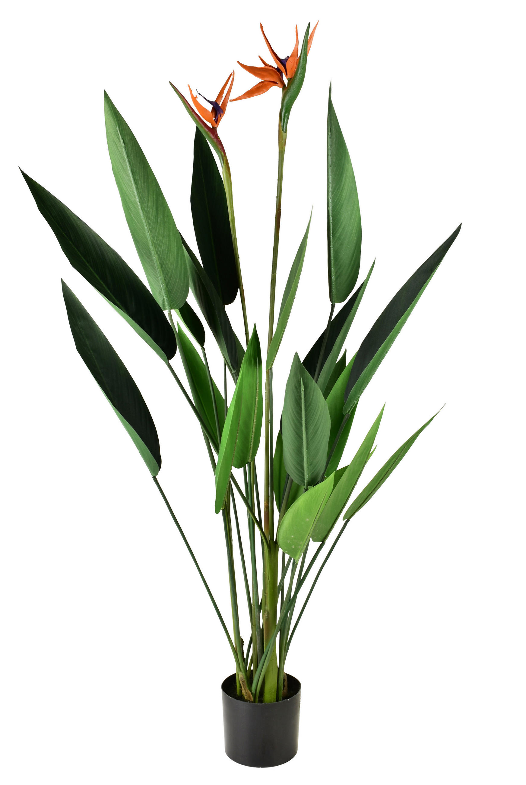 KUNSTBLUME Viridis grün 15/14/135 cm Kunststoff - Grün, Kunststoff (135cm) - Mondex