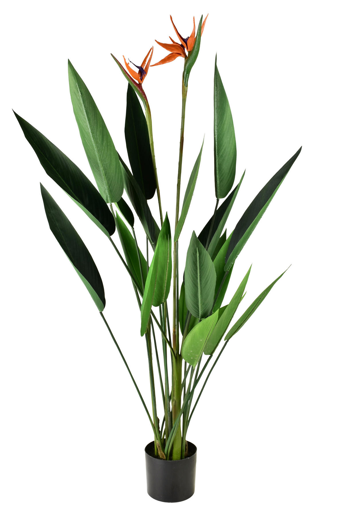 KUNSTBLUME Viridis grün 15/14/135 cm Kunststoff - Grün, Kunststoff (135cm) - Mondex