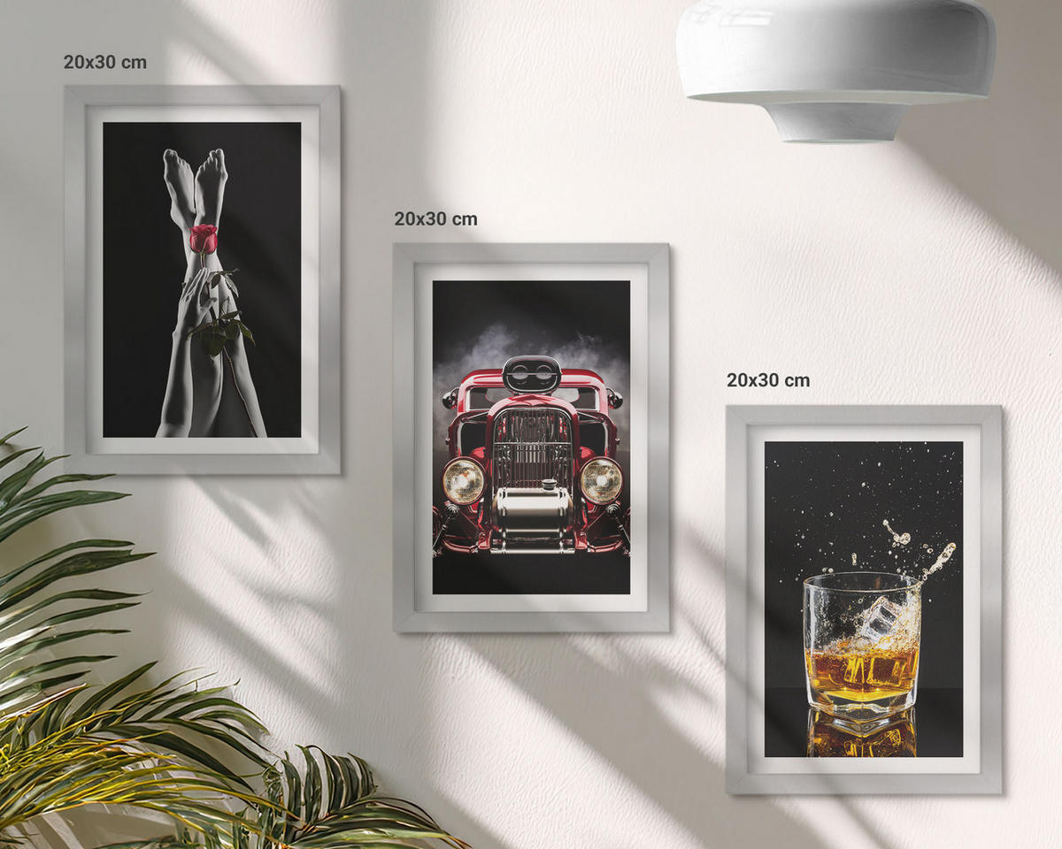 WANDBILDER 3er Set - 20x30 cm Silberner Rahmen - Frauenbeine Rosenauto Whisky - Silberfarben, Kunststoff (20/30cm) - ArtPrintCave