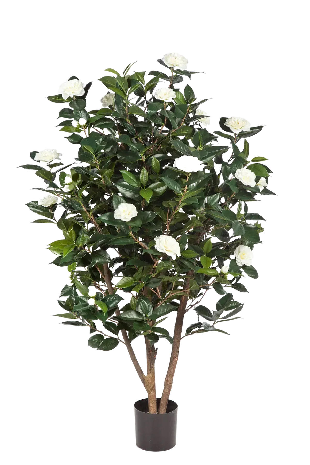 KUNSTBAUM Künstliche japanische Kamelie - Patrice 150 cm - Creme, Kunststoff (150cm) - aplanta