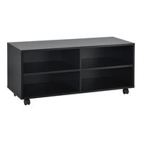 LOWBOARD Gränne - Schwarz, Holzwerkstoff/Kunststoff (90/40.5/35cm) - [en.casa]