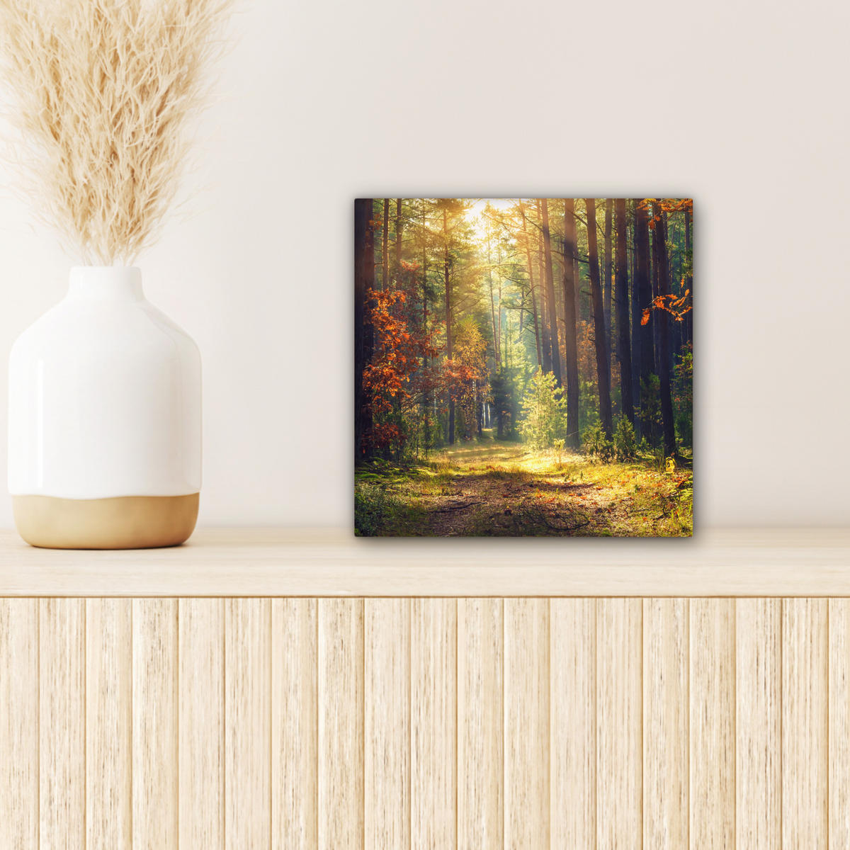 LEINWANDBILD Wald - Herbst - Bäume Deko Wohnzimmer 20x20 cm - Dunkelgrün, Textil (20/20cm) - MuchoWow