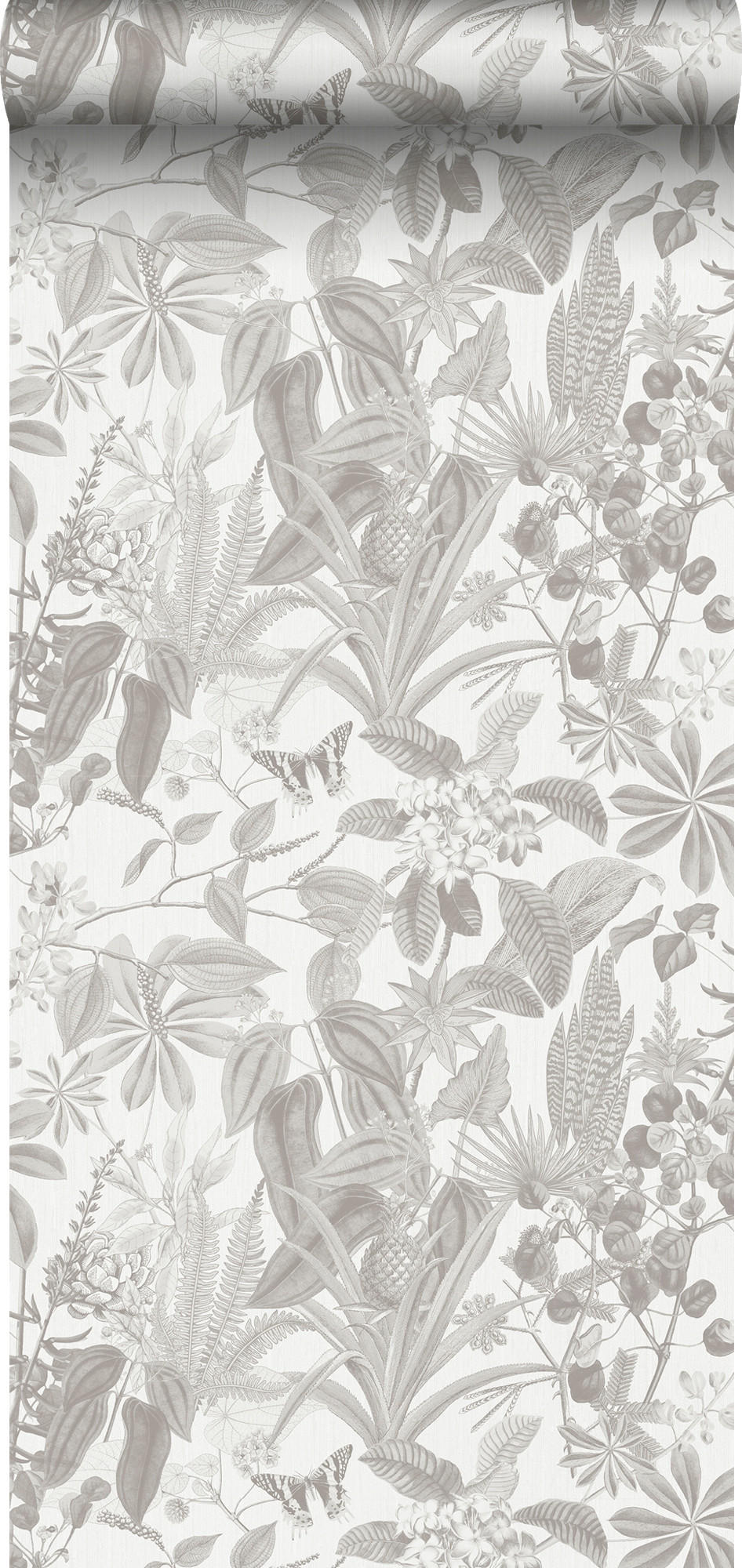 TAPETE tropische Blätter und Blüten 53 cm x 10 m - Grau, Papier (53/1000cm) - Sanders & Sanders