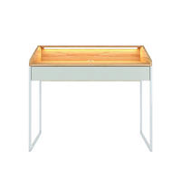 SCHREIBTISCH Finka mit Schublade, Led Beleuchtung, Pastellgrün, Hellgrau und Holz Dekor, 110 cm - Pastellgrün/Hellgrau, Holzwerkstoff/Metall (56/110/94.8cm) - Dancan