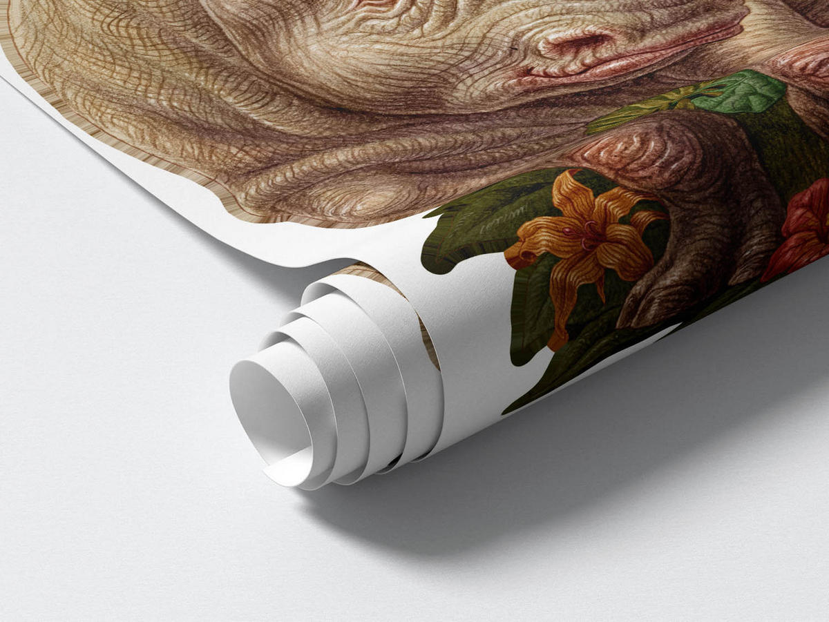 WANDAUFKLEBER 80x86cm - Wildtiersafari - Multicolor, Kunststoff (80/86/0.1cm) - Wallfluent