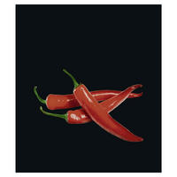 GLASKOCHFELD Hot Peperoni 70/60/0,4 cm - Schwarz, Glas (60/0.4/70cm) - Wenko