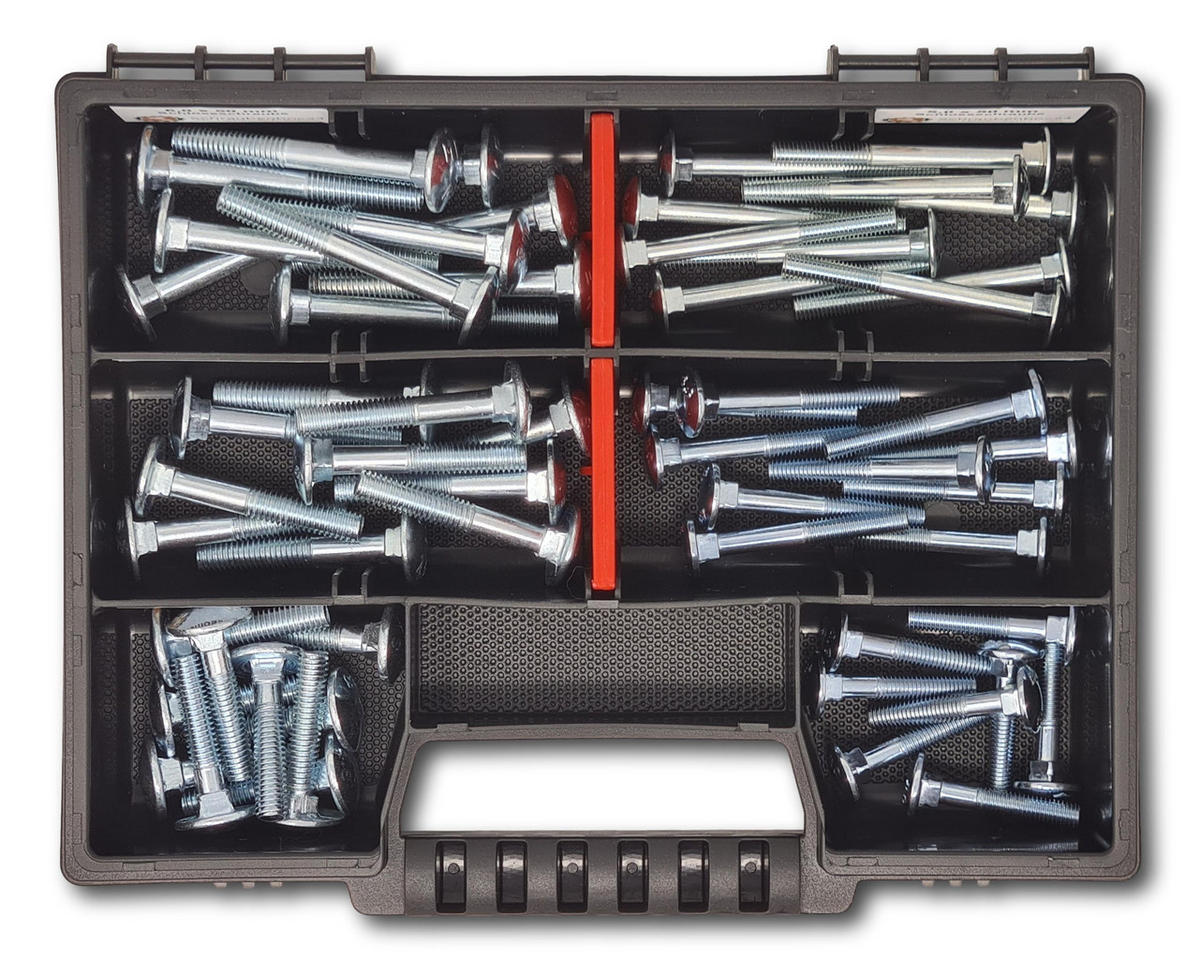 FLACHKOPFSCHRAUBEN Sortiment M5-M6 // 30mm-50mm 60 tlg. Schraubenbox DIN 603 - Zinkfarben, Metall (3.5cm) - Schraubenbox24