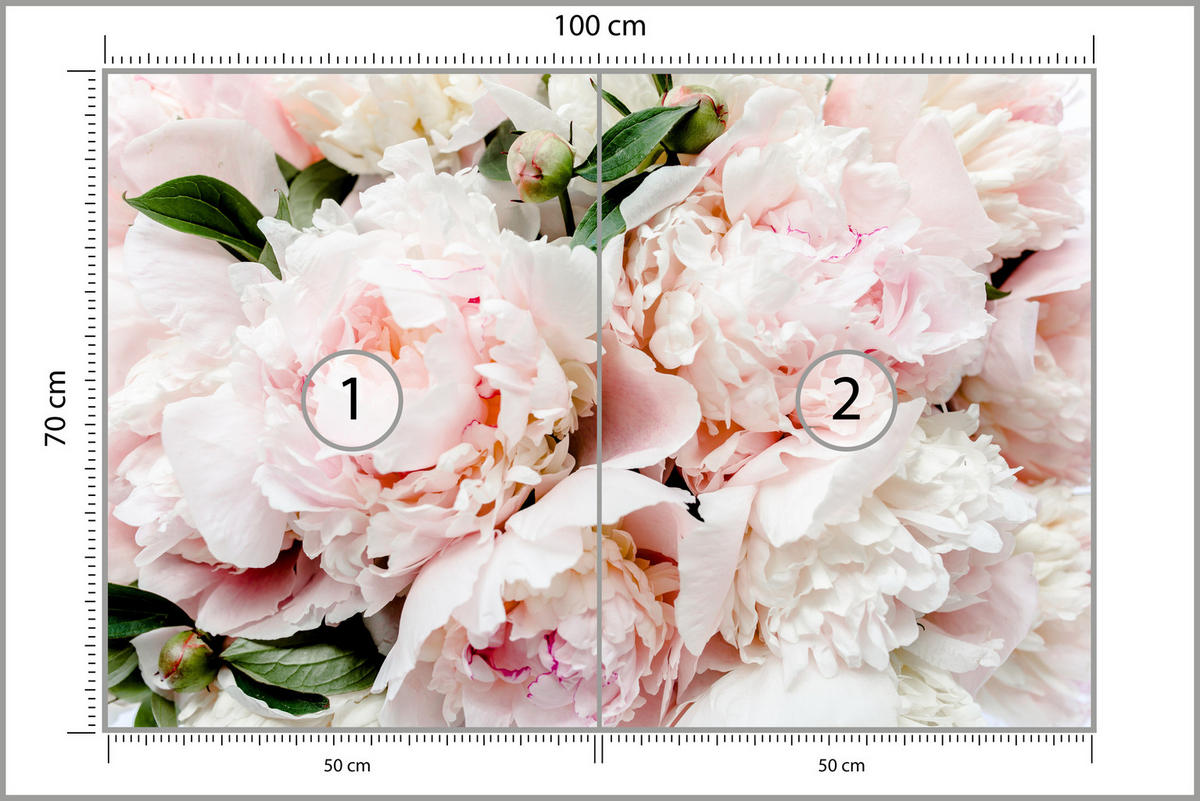 FOTOTAPETE für Schlafzimmer Rosa Zarte Pfingstrosen Natur 100x70 - Rosa/Weiß, Papier (100/70cm) - Muralo