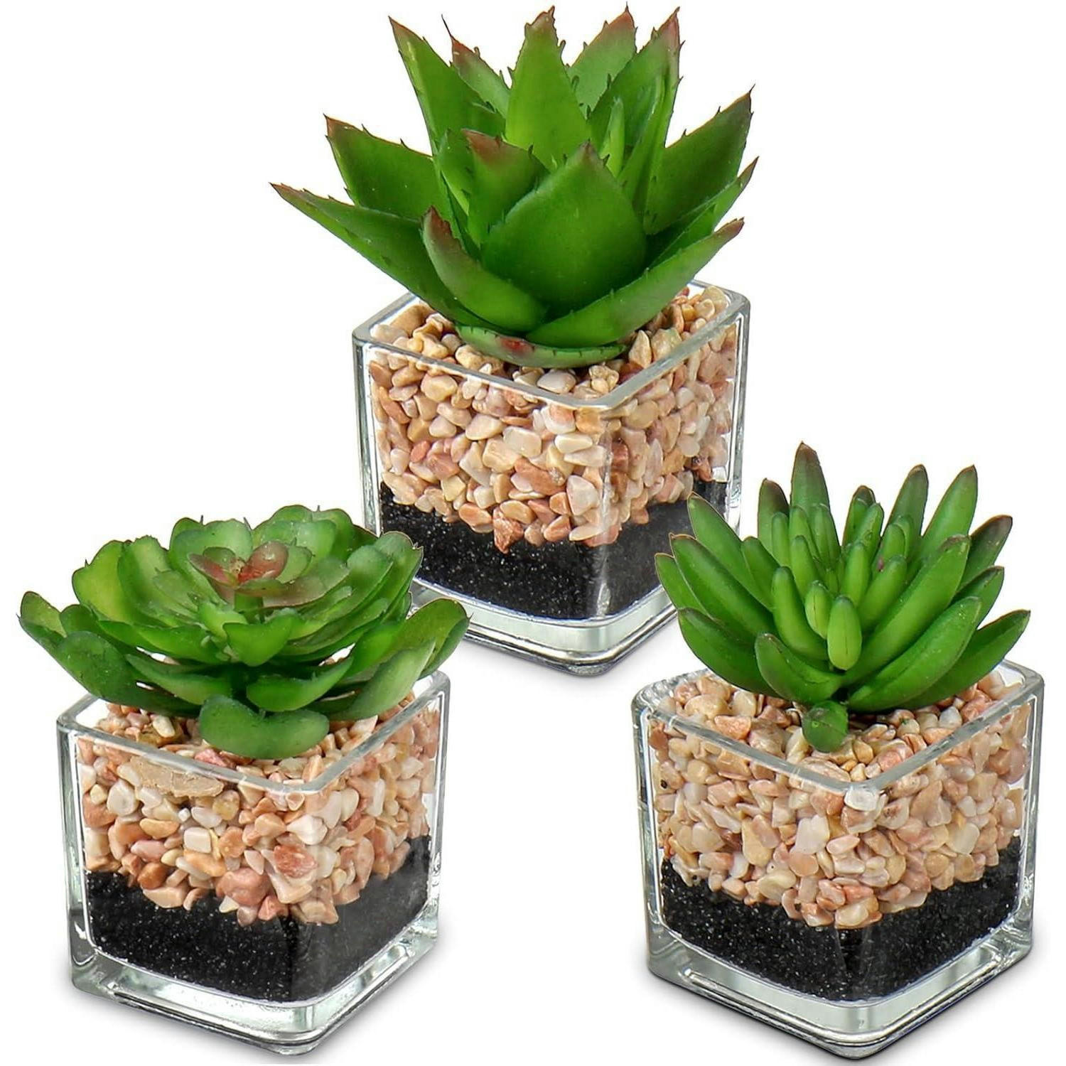 KUNSTPFLANZEN 3er Set im Glastopf - Multicolor, Kunststoff (5.5cm)