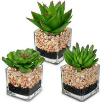KUNSTPFLANZEN 3er Set im Glastopf - Multicolor, Kunststoff (5.5cm)