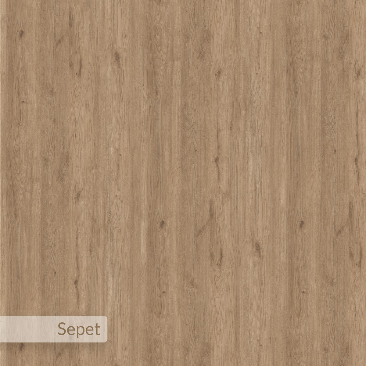 WANDREGAL Tibet Natur Eiche 119/22/66,5 cm - Naturfarben, Holzwerkstoff (119/66.4/22cm) - Decortie