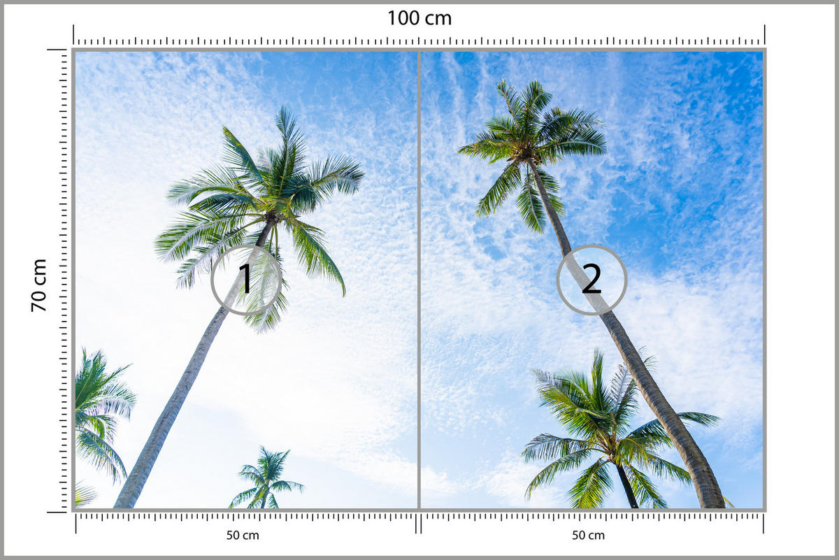 FOTOTAPETE für Badezimmer Palmen Kokos Himmel Untenblick 100x70 - Blau/Weiß, Papier (100/70cm) - Muralo