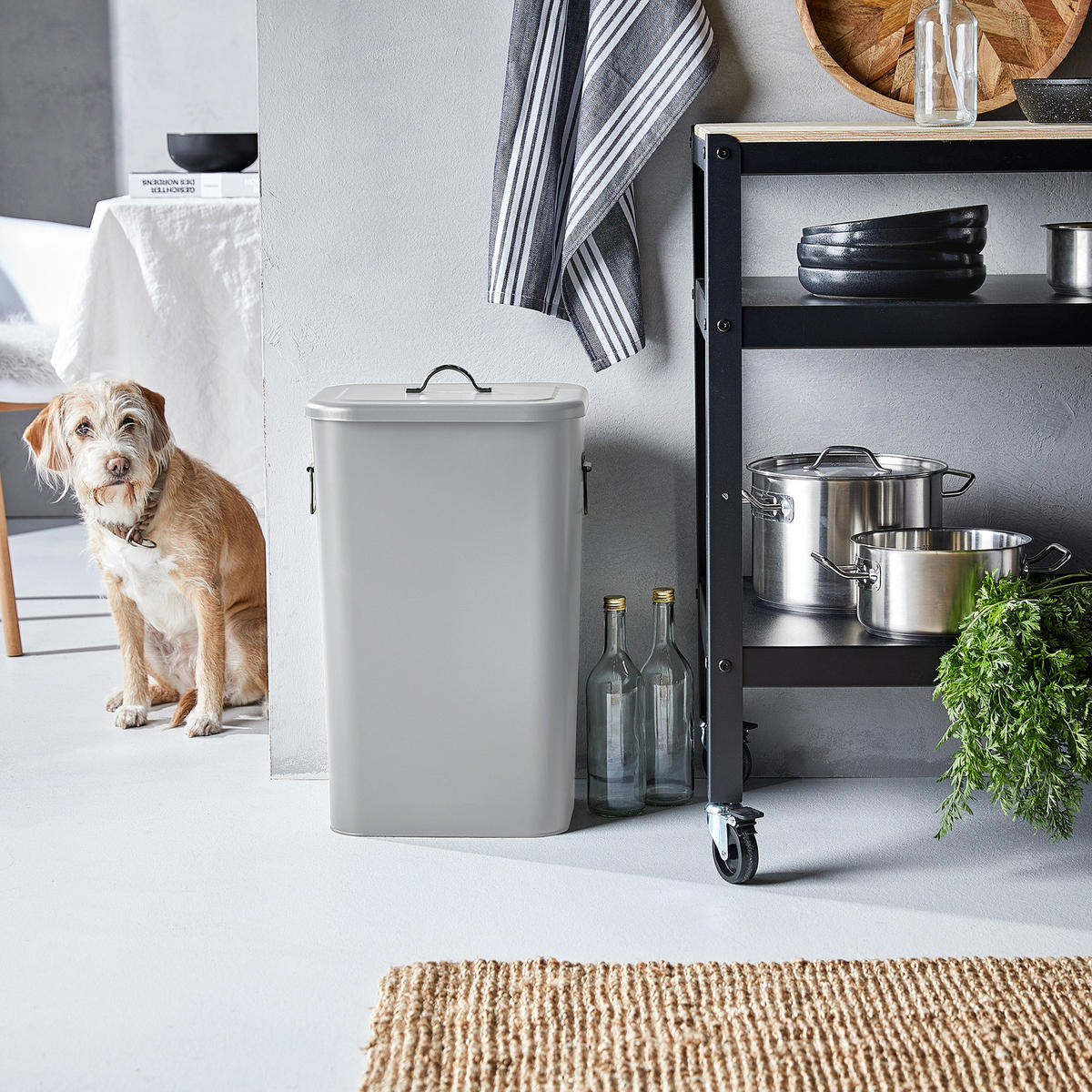 MÜLLEIMER Binster - Grau, Metall (28/58/34cm) - Butlers
