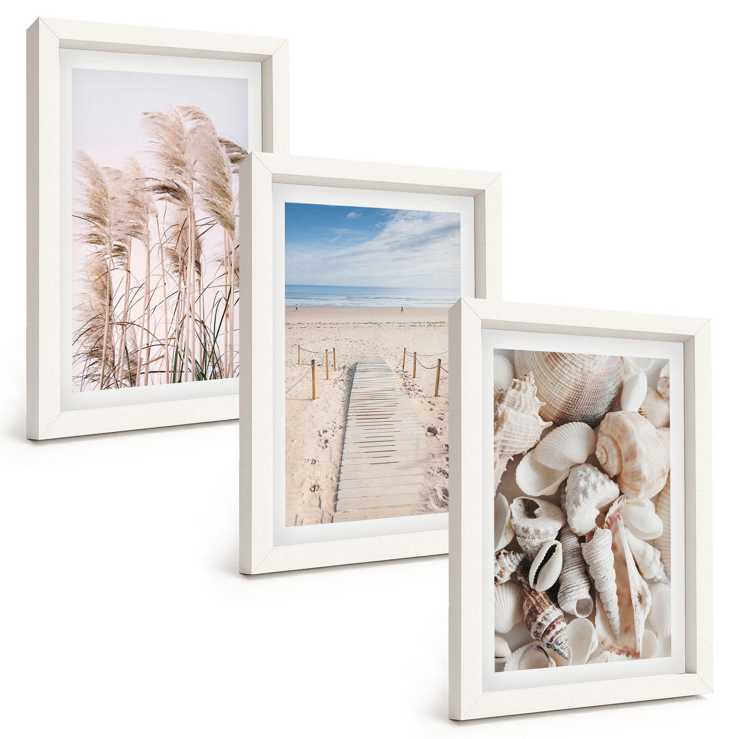 BILDER SET 3er Set - 20x30 cm Weißer Rahmen - Strandmuscheln Seegras - Weiß, Kunststoff (20/30cm) - TULUP
