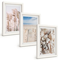 BILDER SET 3er Set - 20x30 cm Weißer Rahmen - Strandmuscheln Seegras - Weiß, Kunststoff (20/30cm) - TULUP