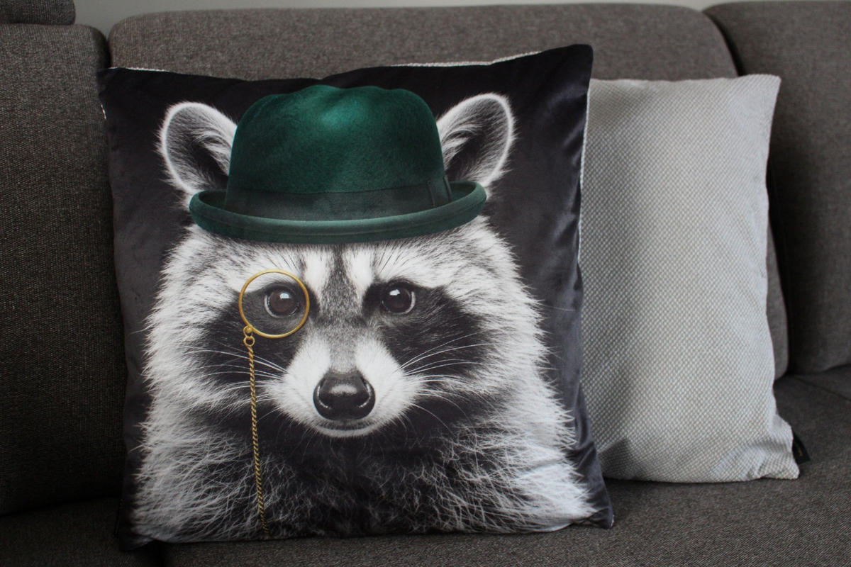 KISSENHÜLLE WASCHBÄR BILL Hut - Dunkelgrau, Textil (45/45cm) - Yve! decoration