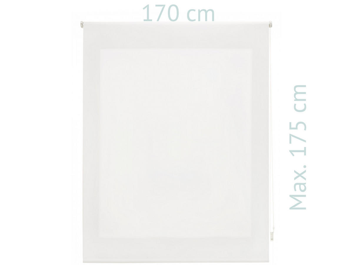 ROLLO Polyester Transluzent Grauweiß 170x175 - Hellgrau, Textil (170/175/1cm) - Purline
