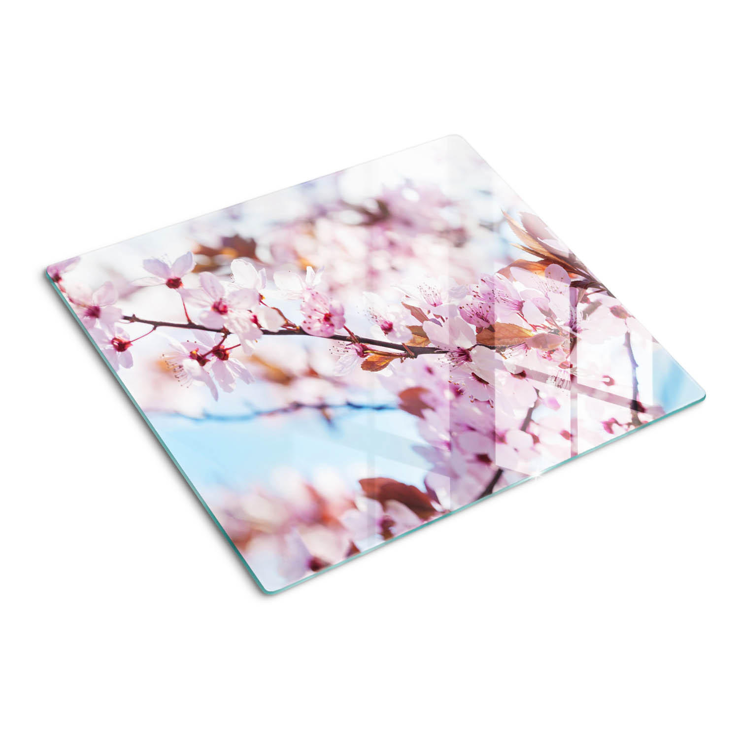 GLASPLATTE 60x52 cm Kirschblüten - Pink, Glas (60/0.4/52cm) - TULUP