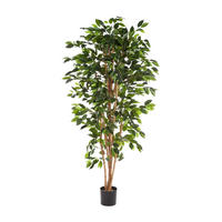 KUNSTBAUM Künstlicher Chinesischer Ficus - Ismail 210 cm - Grün, Kunststoff (210cm) - aplanta