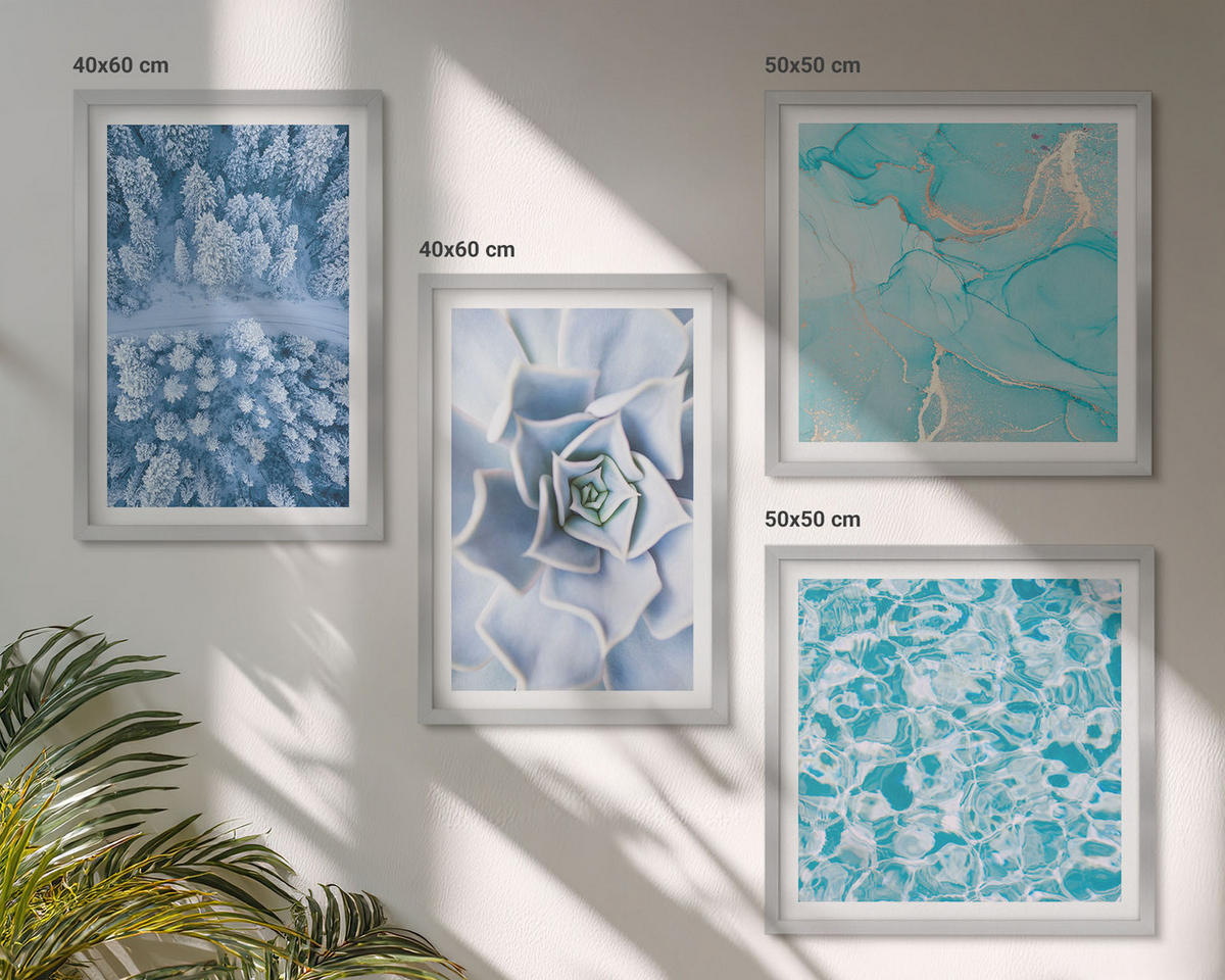 BILDER SET 4er Set - 50x50 cm & 40x60 cm Silberner Rahmen - Winterwald-Blaublume - Silberfarben, Kunststoff (50/50cm) - TULUP