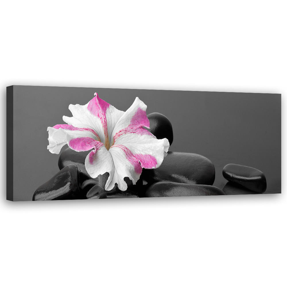 WANDBILD stones rosa blume zen - Schwarz, Textil (90/30cm) - Feeby