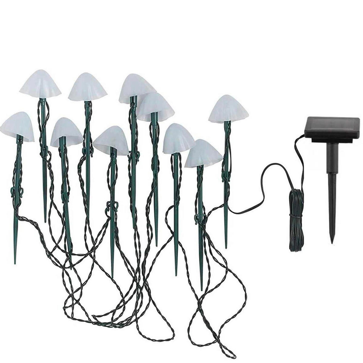 LICHTERKETTE CHAMPY weiß - Weiß, Kunststoff (380/1/20cm) - Lumisky