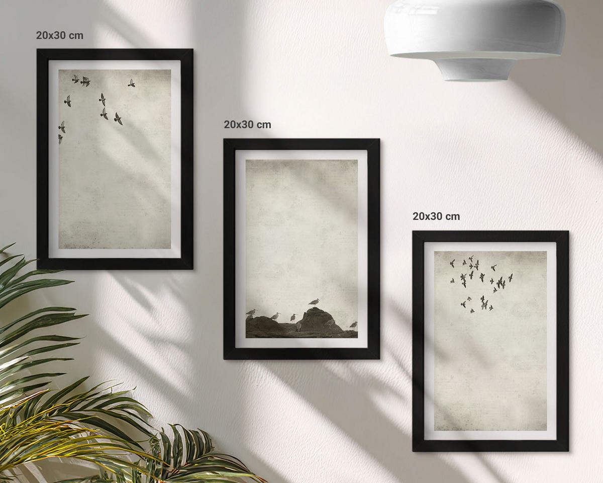 WANDBILDER 3er-Set - 20x30 cm Schwarzer Rahmen - Fliegende Vögel Minimalismus - Schwarz, Kunststoff (20/30cm) - ArtPrintCave