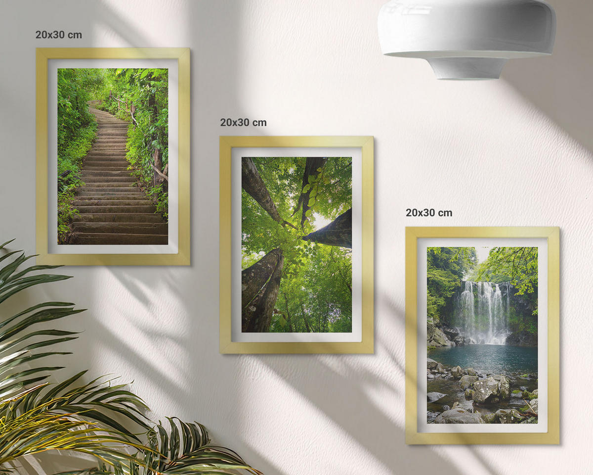 BILDER SET 3er Set - 20x30 cm Goldrahmen - Pfad Wald Wasserfall Vegetation - Goldfarben, Kunststoff (20/30cm) - TULUP