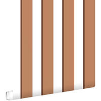 TAPETE Streifen 50 x 900 cm - Terracotta, Papier (50/900cm) - ESTAhome
