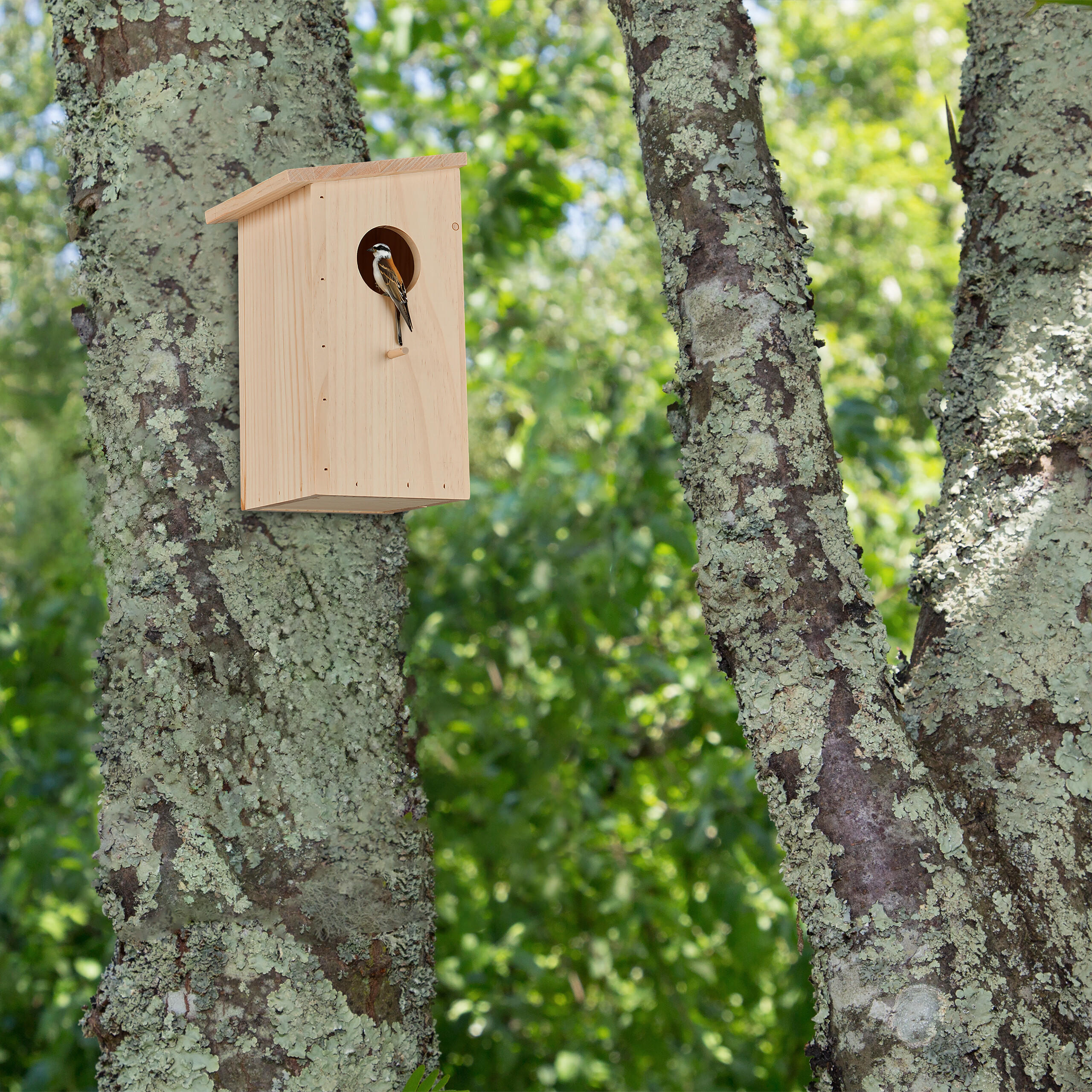 NISTKASTEN - Hellbraun, Holz (15/25.5/16cm) - Relaxdays