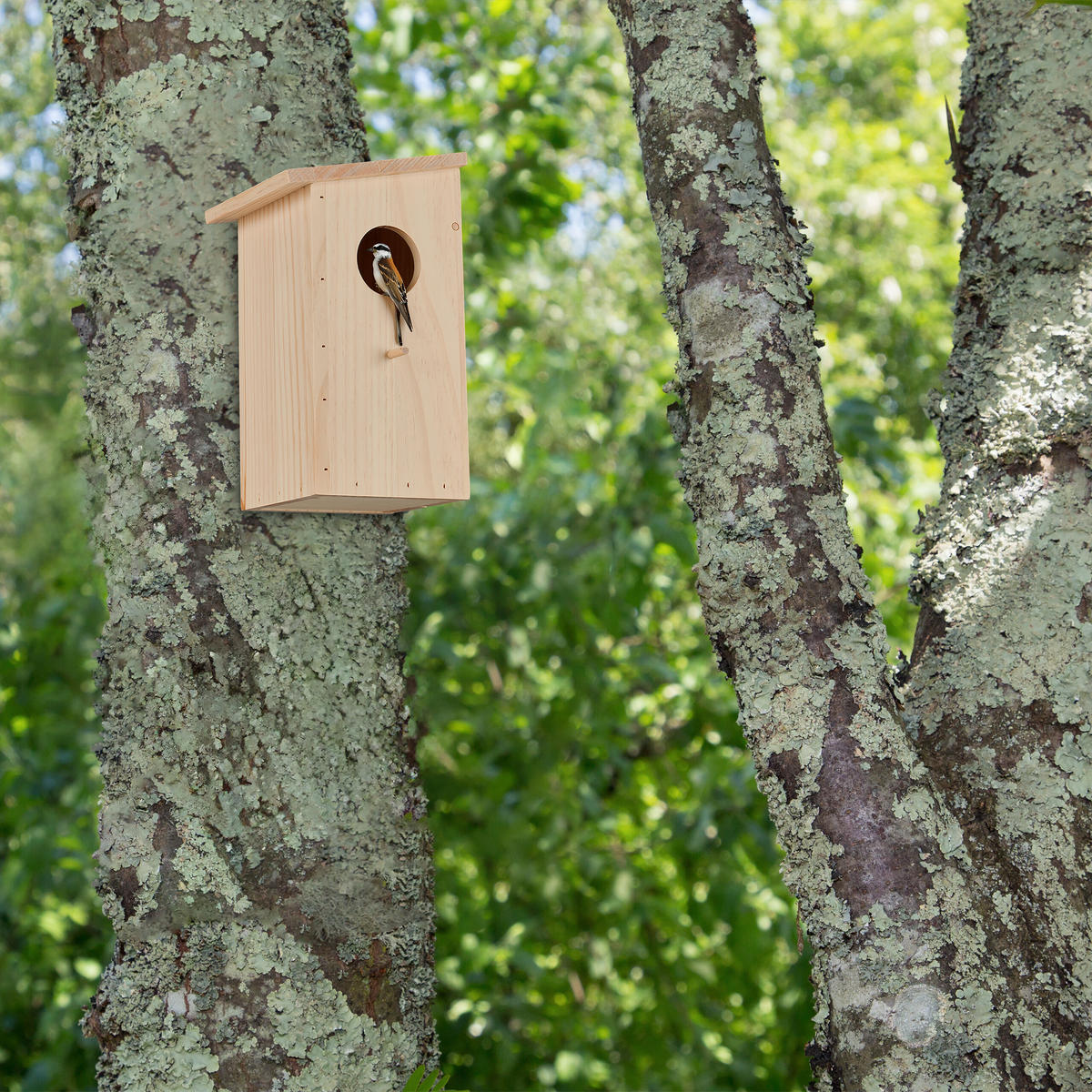 NISTKASTEN - Hellbraun, Holz (15/25.5/16cm) - Relaxdays