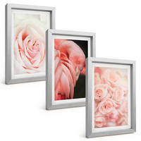 BILDER SET 3er Set - 20x30 cm Silberner Rahmen - Zartrosa Flamingos - Silberfarben, Kunststoff (20/30cm) - TULUP