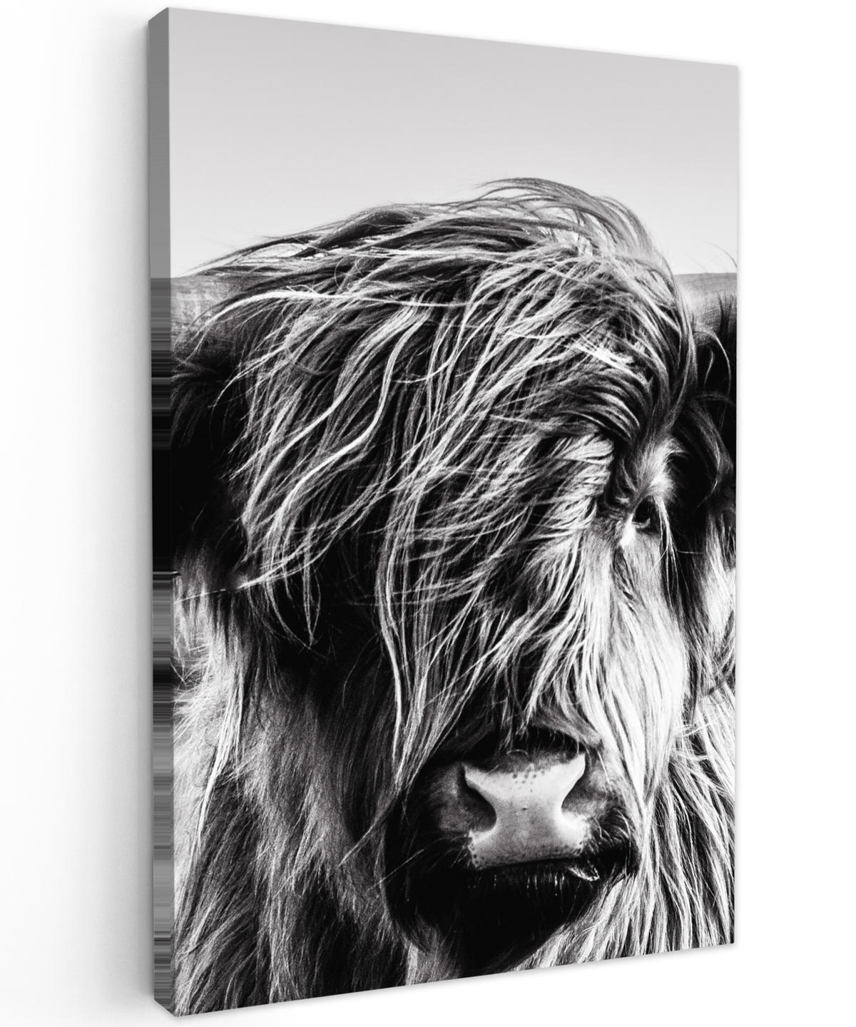 LEINWANDBILD Kuh - Schottischer Hochländer - Schwarz - Weiß - Tier - Natur - Wildtiere 90x140 cm - Schwarz, Textil (90/140cm) - MuchoWow