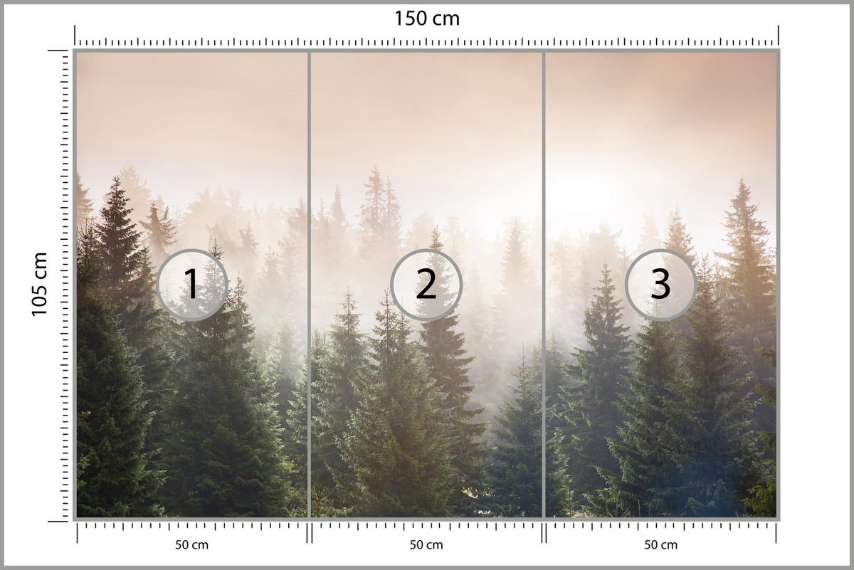 FOTOTAPETE für Wohnzimmer Nadelwald Bäume im Nebel Mystisch 150x105 - Orange/Braun, Papier (150/105cm) - Muralo