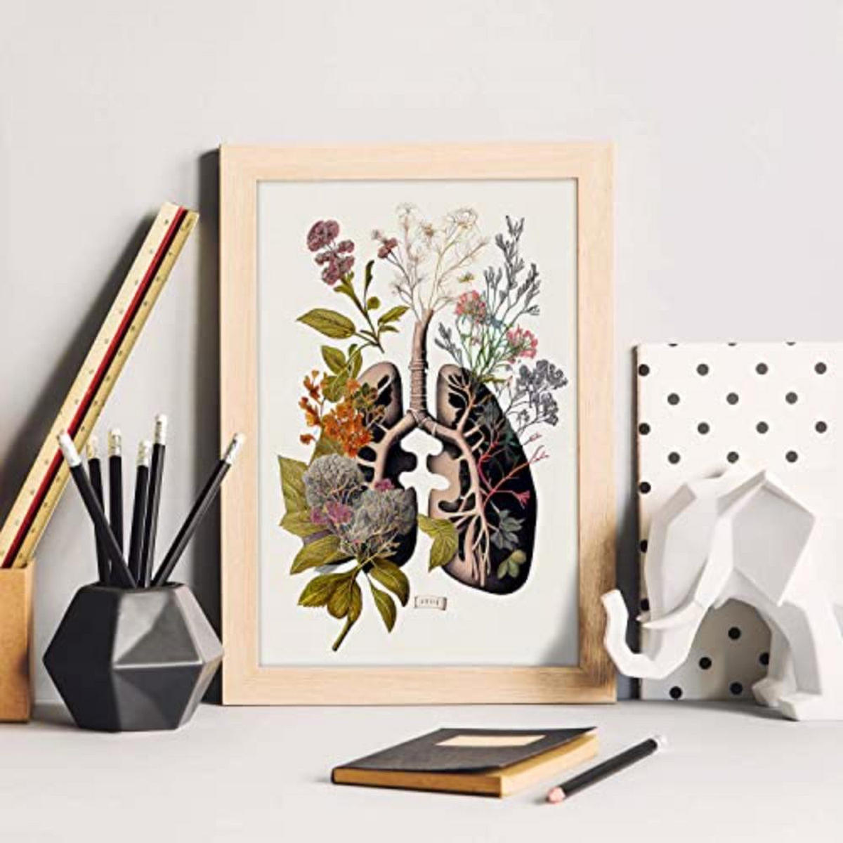 POSTER Set Mit 4 Anatomie Bronchien A3 Rahmenlos - Klar, Papier (29.7/3cm) - Nacnic