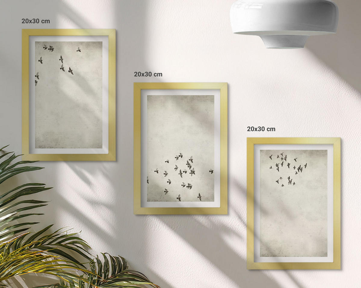 BILDER SET 3er Set - 20x30 cm Goldrahmen - Minimalistische Vogelmalerei - Goldfarben, Kunststoff (20/30cm) - TULUP