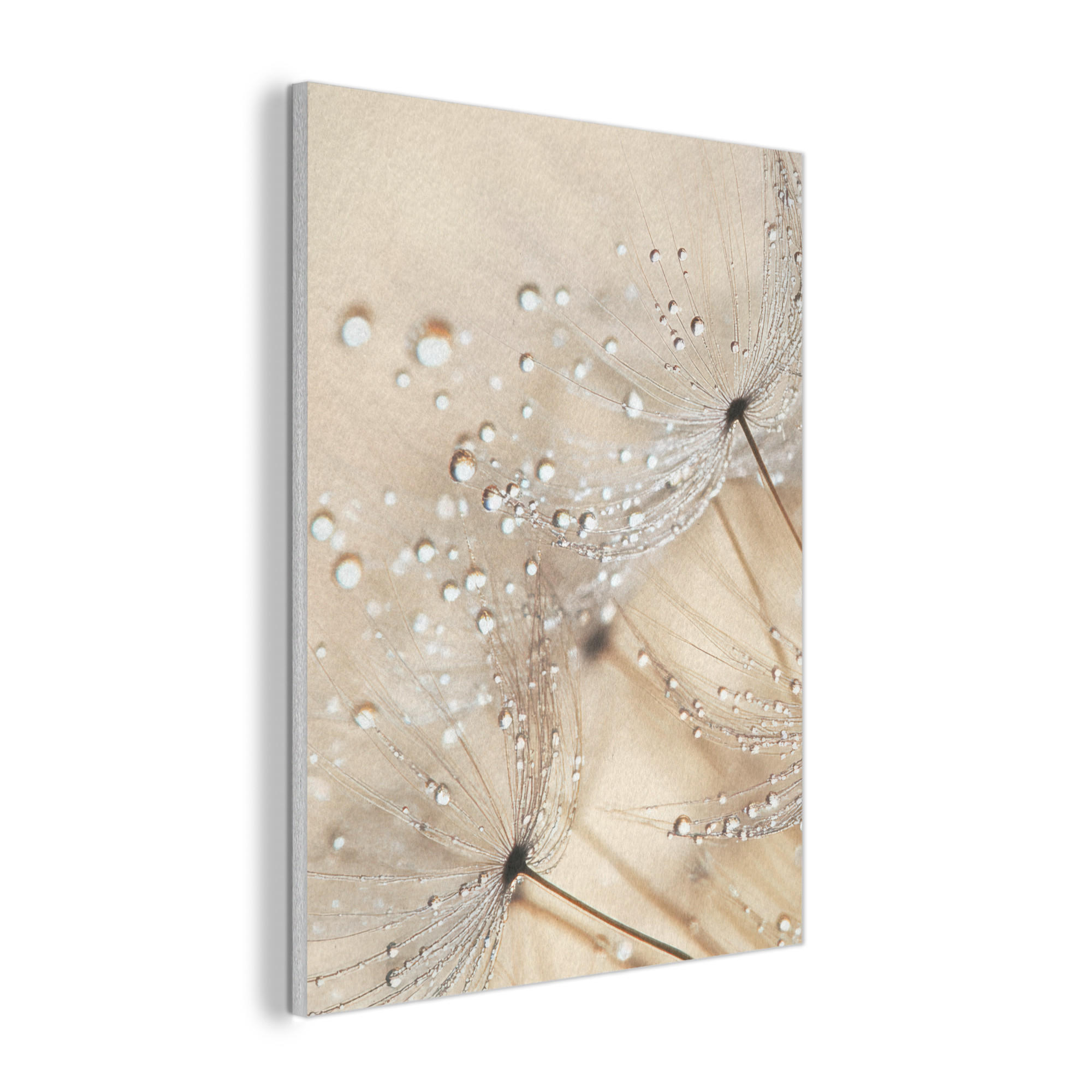 AKUSTIKPANEEL Löwenzahn - Abstrakt - Natur - Beige 60x80 cm - Braun, Textil (60/0.9/80cm) - MuchoWow