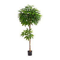 KUNSTBAUM Künstliche Pachira - Natalia 180 cm - Naturfarben, Kunststoff (180cm) - aplanta