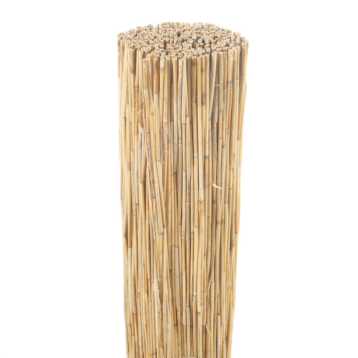 SCHILFZAUN Abbateggio - Naturfarben, Naturmaterialien (90/0.6cm) - casa.pro