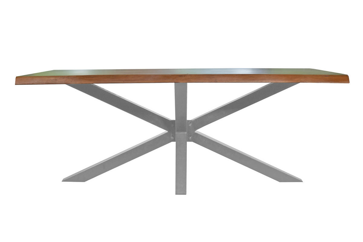 ESSTISCH TIM - Silberfarben/Braun, Holz (100/300/77cm) - SAM