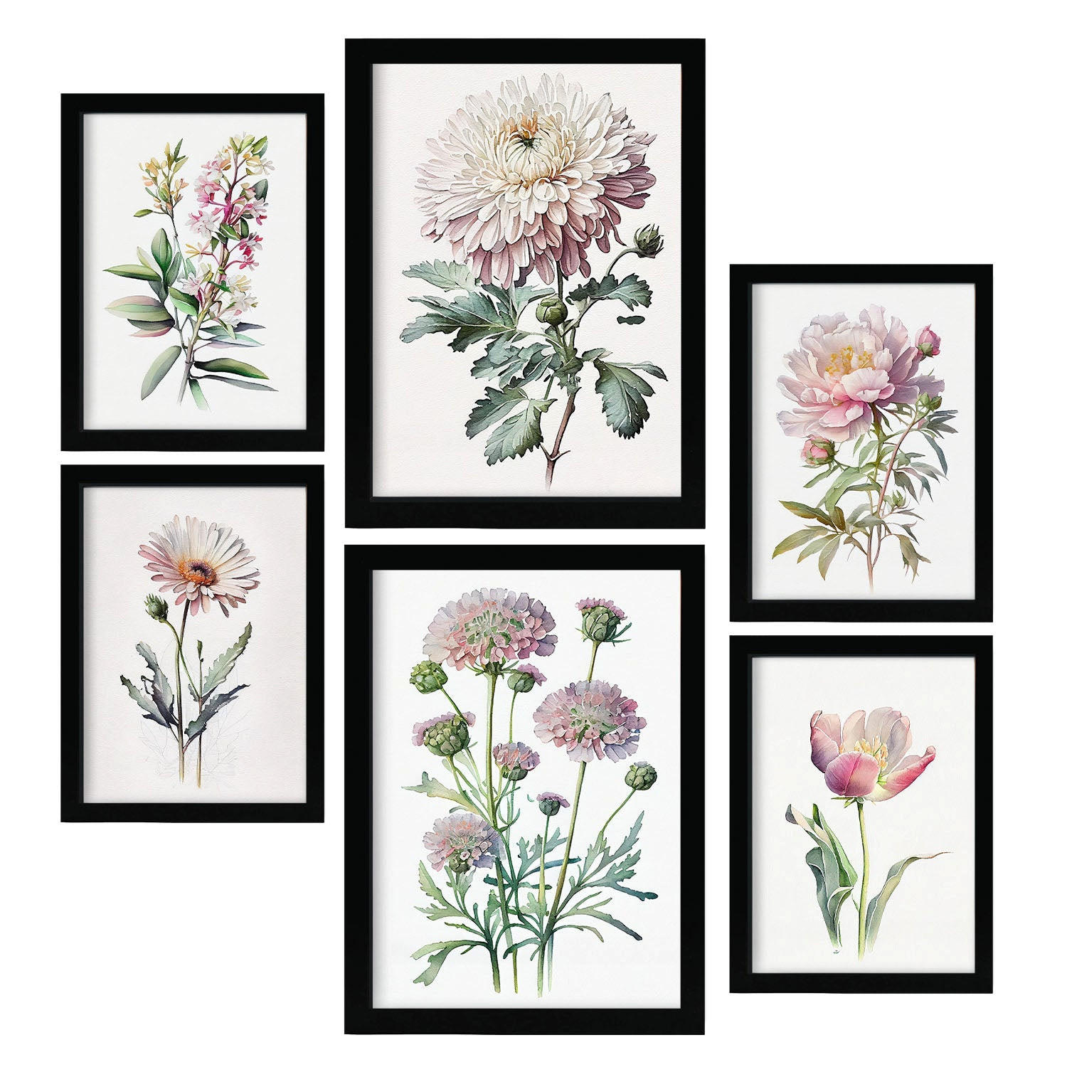 POSTER Set Mit 6 Pinke Blumen Vollfarbige Natur Und Botanikdrucke Mit Blumenmotiven Auf Reinweißen Hintergründen A3 & A4 Schwarzer Rahmen - Schwarz, Papier (29/3cm) - Nacnic