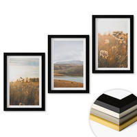 WANDBILDER 3er-Set - 20x30 cm Schwarzer Rahmen - Landschaften Wiesen Berge See - Schwarz, Kunststoff (20/30cm) - ArtPrintCave