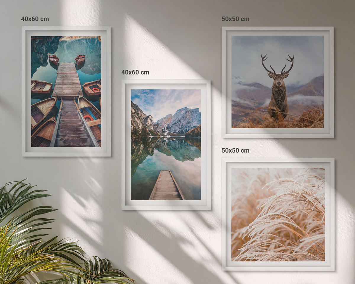 WANDBILDER 4er-Set - 50x50 cm & 40x60 cm Weißer Rahmen - Seeboote Hirsche Berge - Weiß, Kunststoff (50/50cm) - ArtPrintCave