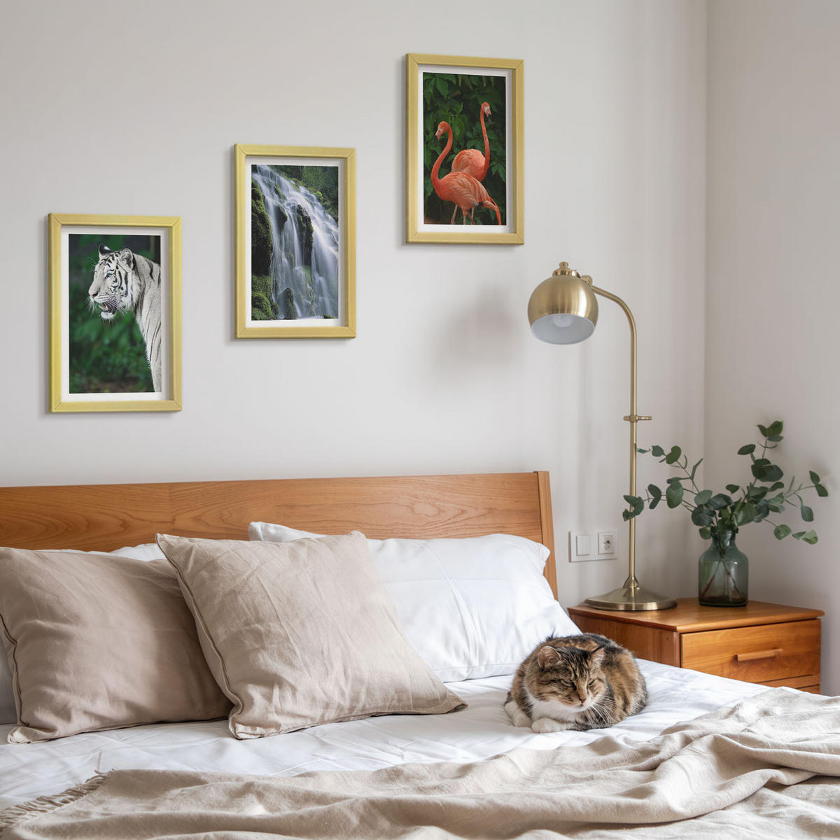 WANDBILDER 3er Set - 20x30 cm Goldrahmen - Tiger Wasserfall Flamingos Natur - Goldfarben, Kunststoff (20/30cm) - ArtPrintCave