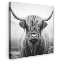 OBRAZ NA PLÁTNE Škótsky horal - hmla - čierna - biela 50x50 cm - sivá, textil (50/50cm) - MuchoWow