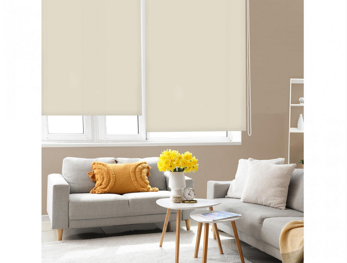 ROLLO Polyester Transluzent CREAM 100x250 - Creme, Textil (100/250/1cm) - Purline