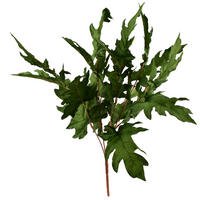 UMĚLÁ VĚTEV Viridis - zelená barva, plast (57cm) - Mondex