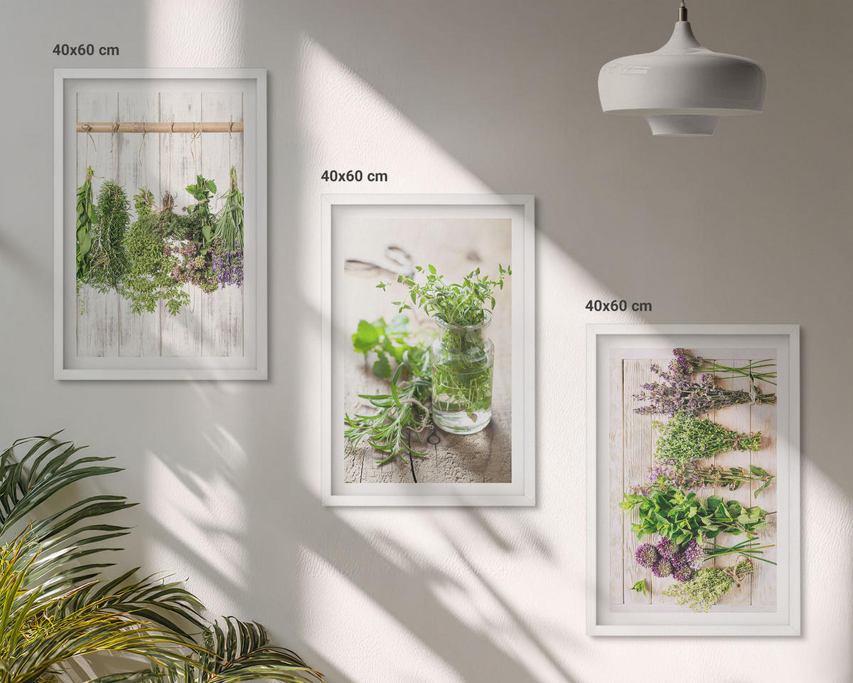 BILDER SET 3er Set - 40x60 cm Weißer Rahmen - Kräuterpflanzen für die Küche - Weiß, Kunststoff (40/60cm) - TULUP