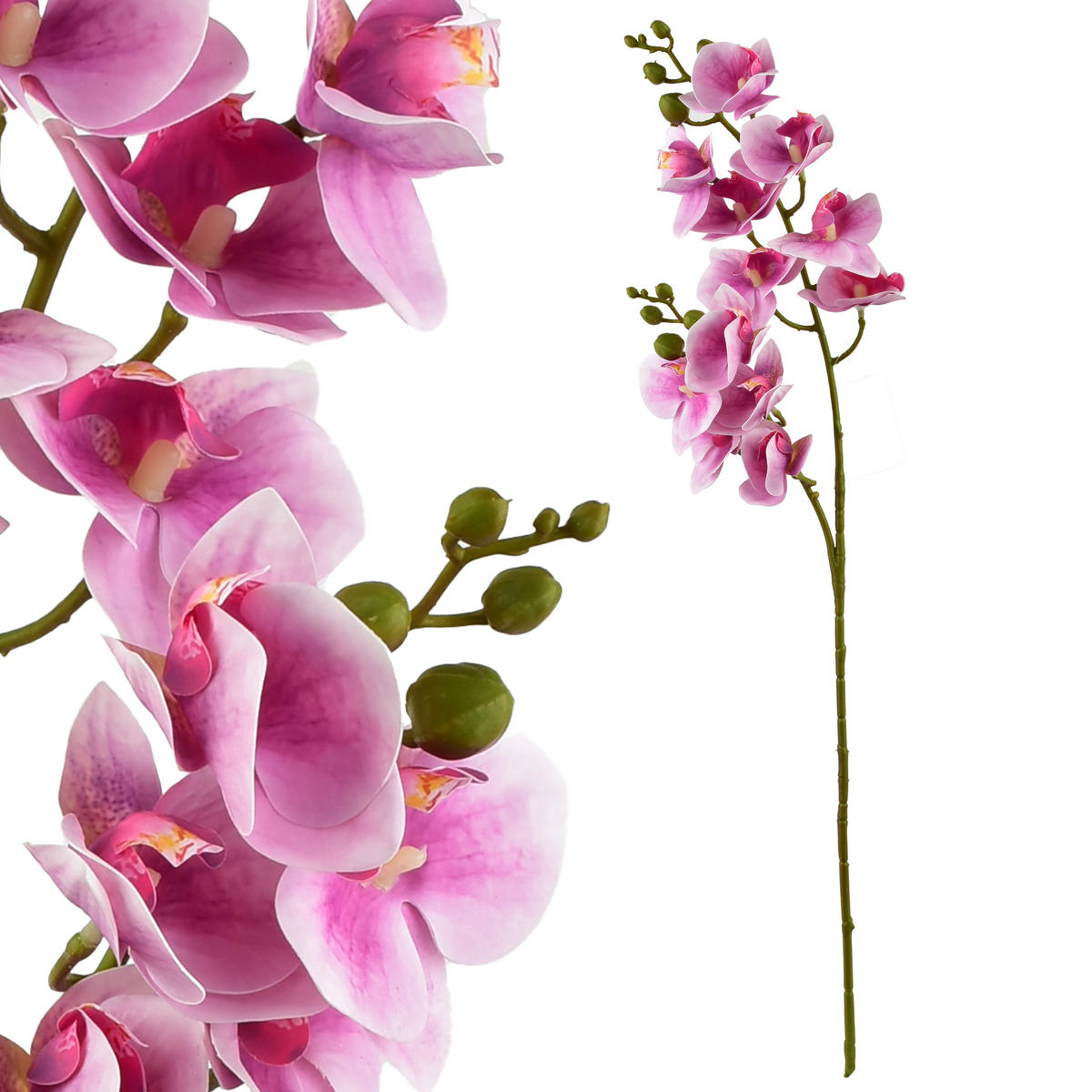 UMĚLÁ ORCHIDEJ Viridis - růžová, plast (65cm) - Mondex